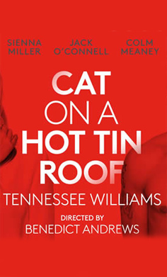 Фільм Кішка на розпеченому даху