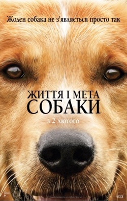 Фильм Жизнь и цель собаки